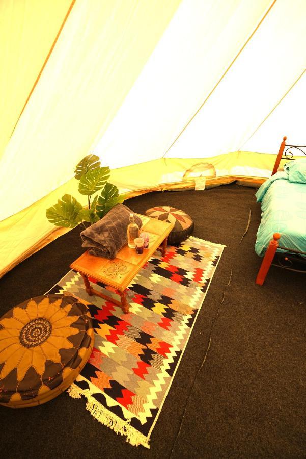 Camping Arbre De Vie มงตานญัค ภายนอก รูปภาพ