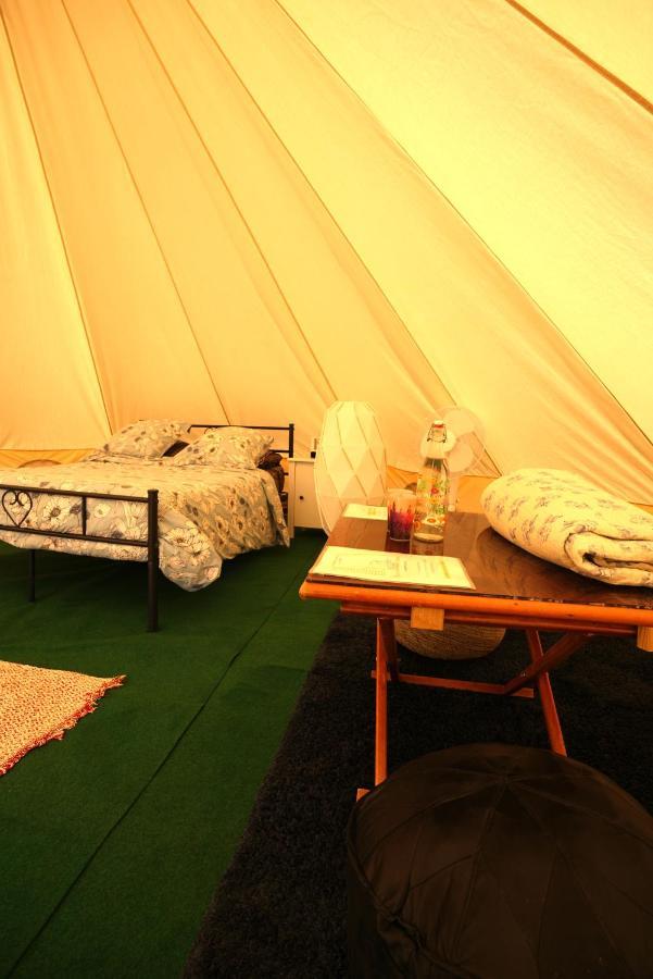 Camping Arbre De Vie มงตานญัค ภายนอก รูปภาพ